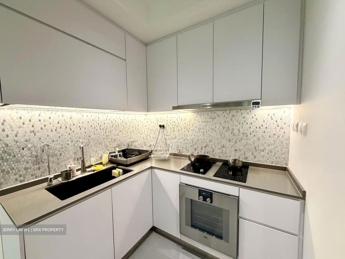 The Raintree (D21), Condominium #612988781